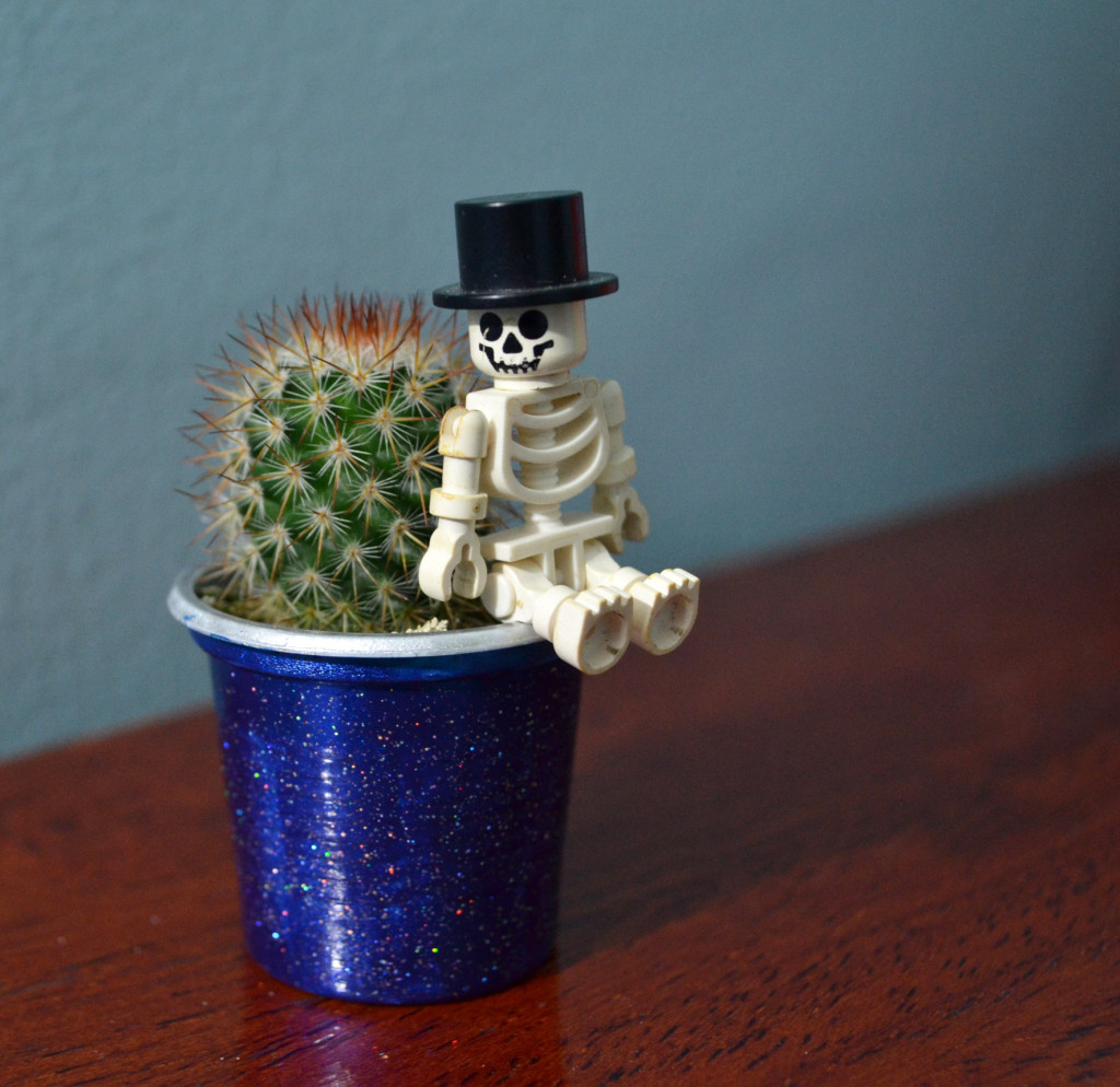 Frederick the cactus makes me happy